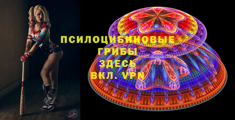 Псилоцибиновые грибы Magic Shrooms  mega как зайти  мориарти формула  как найти наркотики  Нефтекумск 